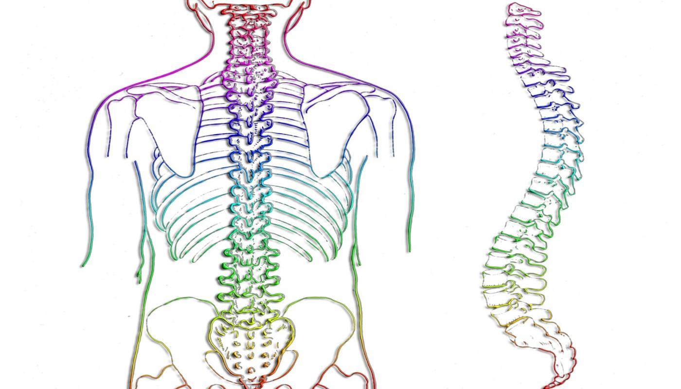 פתולוגיות עמוד שדרה, יציבה וכאבי גב תחתון